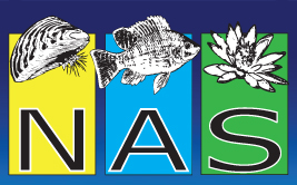 NAS logo - click to go to the NAS home page