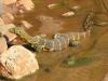 Varanus niloticus