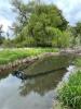 Fyke net deployed in river side channel