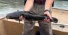 Flathead Catfish held in outstretched hands