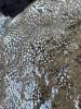 A bryozoan attached to a square mussel sampling plate held above the water.