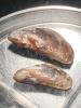 Two large mussels sit in a dish on a table.