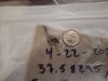 A small, adult golden is somewhat smashed in a bag, a dime (U.S. ten cent) coin is near it to show that it is smaller.