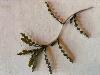 Curly-leaf pondweed