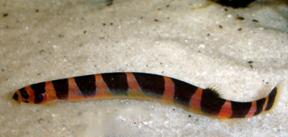20100419143818.jpg