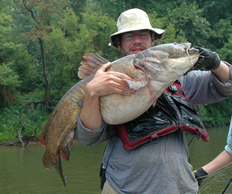Flathead catfish discovered in the Ogeechee River