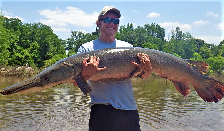 Alligator Gar (Atractosteus spatula) - Species Profile