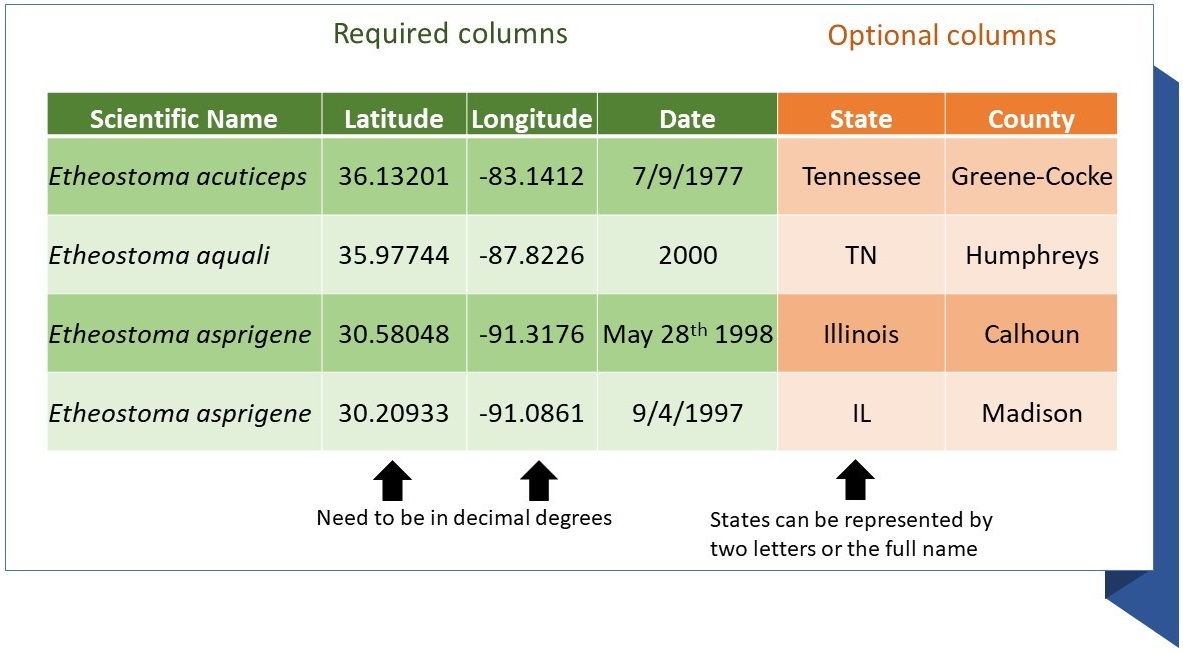 Example of Required and Optional Columns