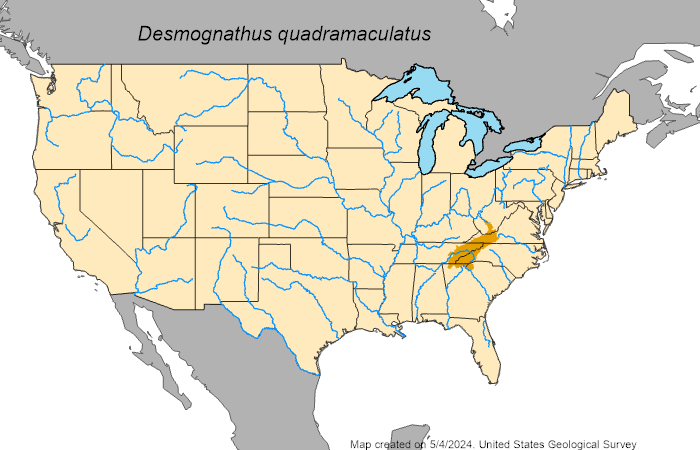 US auto-generated map