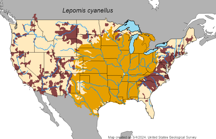 US auto-generated map